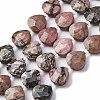 Natural Rhodonite Beads Strands G-P570-E03-02-2