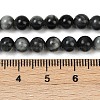 Natural Hawk's Eye Beads Strands G-S333-6mm-027-01-2