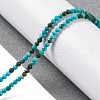Natural Howlite Beads Strannds G-C025-02A-04-2