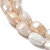 Electroplate Glass Beads Strands GLAA-D013-05B-3