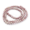 Natural Rhodonite Beads Strands G-G099-6mm-33-2