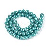 Electroplate Opaque Glass Beads Strands GLAA-T032-P10mm-AB12A-2