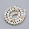 Natural Fire Crackle Agate Beads Strands G-S249-09-8mm-2