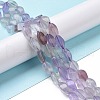 Natural Twist Fluorite Beads Strands G-L243B-10-2