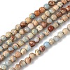 Dyed Natural Regalite/Imperial Jasper/Sea Sediment Jasper Beads Strands G-B124-C05-04-1