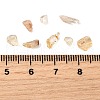 Natural Citrine Chip Beads G-O103-09-4