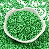 Baking Paint Glass Seed Beads SEED-S042-05A-28-2