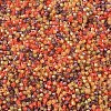 MIYUKI Delica Beads SEED-X0054-DB2063-3