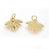 Brass Charms KK-G364-10G-2