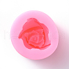 Food Grade Silicone Molds X-DIY-E011-23-1
