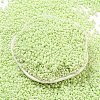 Baking Paint Glass Seed Beads SEED-S042-05A-19-2