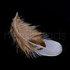 Chicken Feather Costume Accessories FIND-Q046-02-2