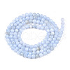 Natural Freshwater Shell Beads Strands X-BSHE-T009A-01F-2