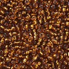 8/0 Glass Seed Beads SEED-US0003-3mm-22C-2
