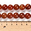 Dyed Natural Agate Beads Strands G-G203-10L-12mm-5