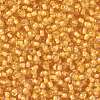 TOHO Round Seed Beads SEED-XTR08-0949-2