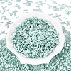 Glass Bugle Beads SEED-N007-28F-2
