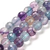 Natural Fluorite Beads Strands G-K345-A02-02A-1