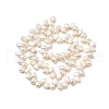 Natural Cultured Freshwater Pearl Beads Strands PEAR-I007-03A-01-3