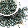 Glass Seed Beads SEED-H002-B-D222-1