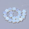 Opalite Beads Strands G-R451-08D-2