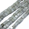 Natural Labradorite Beads Strands G-F631-C08-1