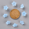 Transparent Acrylic Beads PL554-12-4
