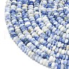 Natural Blue Spot Jasper Beads Strands G-P575-A43-4x2mm-3