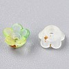 Frosted Transparent Acrylic Beads X-OACR-N137-72H-3