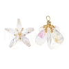 Glass Pendants PALLOY-MZ00741-01-1