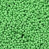 12/0 Grade A Round Glass Seed Beads SEED-Q009-FJX05-3