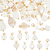 80Pcs 10 Styles Natural Freshwater Shell Pendants PALLOY-AB00156-1