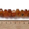 Natural Agate Beads Strands G-K392-A19-5