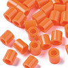 PE Fuse Beads DIY-R013-77-1