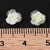 Luminous Resin Decoden Cabochons RESI-K036-44-3