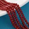Shell Pearl Beads Strands BSHE-XCP0001-74B-1