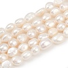 Natural Cultured Freshwater Pearl Beads Strands PEAR-P064-20C-06A-2