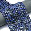 Natural Lapis Lazuli Beads Strands G-C116-A77-02-1