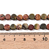 Natural Picasso Jasper/Polychrome Jasper Beads Strands G-N346-06A-04-5