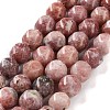 Natural Plum Blossom Jasper Beads Strands G-NH0021-A20-02-2