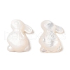 Natural White Shell Carved Cabochons SSHEL-C012-18-1