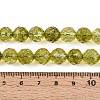 K9 Glass Beads Strands GLAA-N014-10mm-03-4