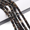 Natural Biotite Beads Strands G-T140-69B-1