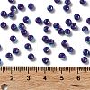Glass Seed Beads SEED-H002-A-A619-4