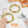 DIY Wire Wrapped Jewelry Kits DIY-BC0011-81E-04-4