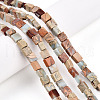 Natural Shoushan Stone Beads Strands G-N346-05A-04-1