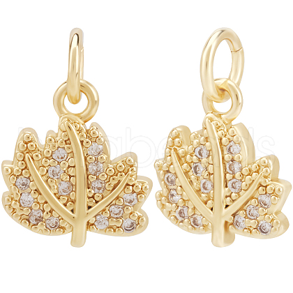 Beebeecraft 12Pcs Brass Micro Pave Cubic Zirconia Charms ZIRC-BBC0002-78-1