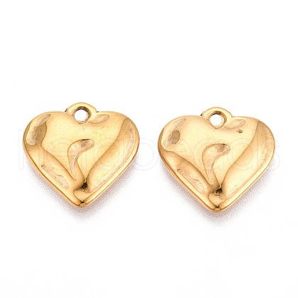 304 Stainless Steel Pendants STAS-T065-24A-G-1