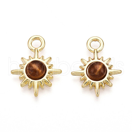Sun Alloy Resin Pendants PALLOY-N177-05G-1