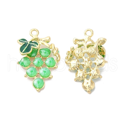 Alloy Enamel Pendants ENAM-D046-23G-02-1